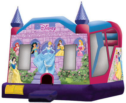 Disney Princess Dry Combo Disney Princess Dry Combo