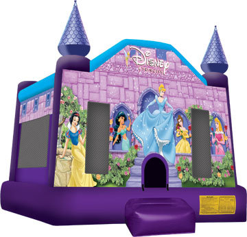 Disney Princess Castle Disney Princess Castle