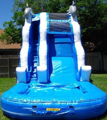 Dolphin Water Slide Dolphin Water Slide