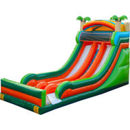 Dual lane Tropical Paradise Dry Slide Dual lane Tropical Paradise Dry Slide